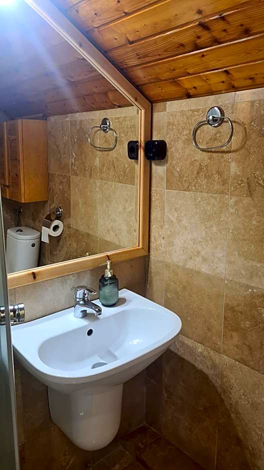 Downtown Apartments with shared kitchen