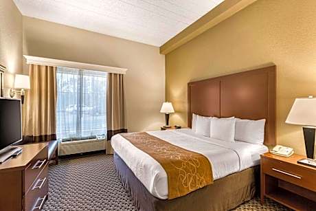 1 King Bed Efficiency Suite Nonsmoking Accessible
