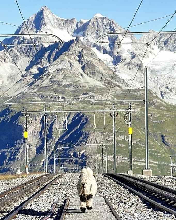3100 Kulmhotel Gornergrat
