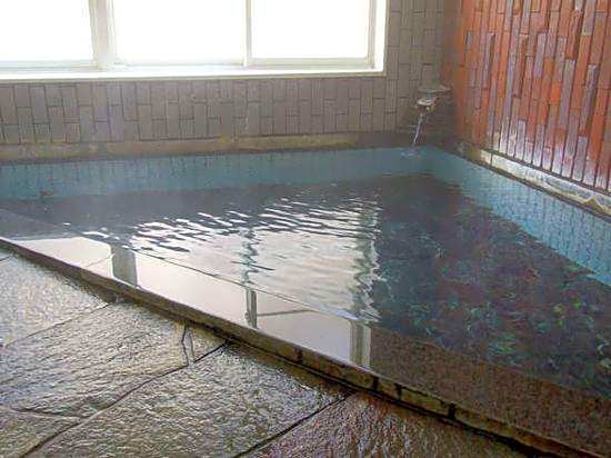 Hatsushiro Ryokan