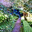 Babbling Brook Inn