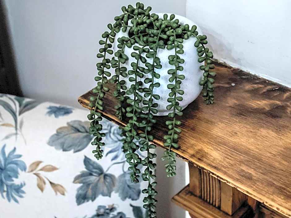 Vier Seisoene Gastehuis