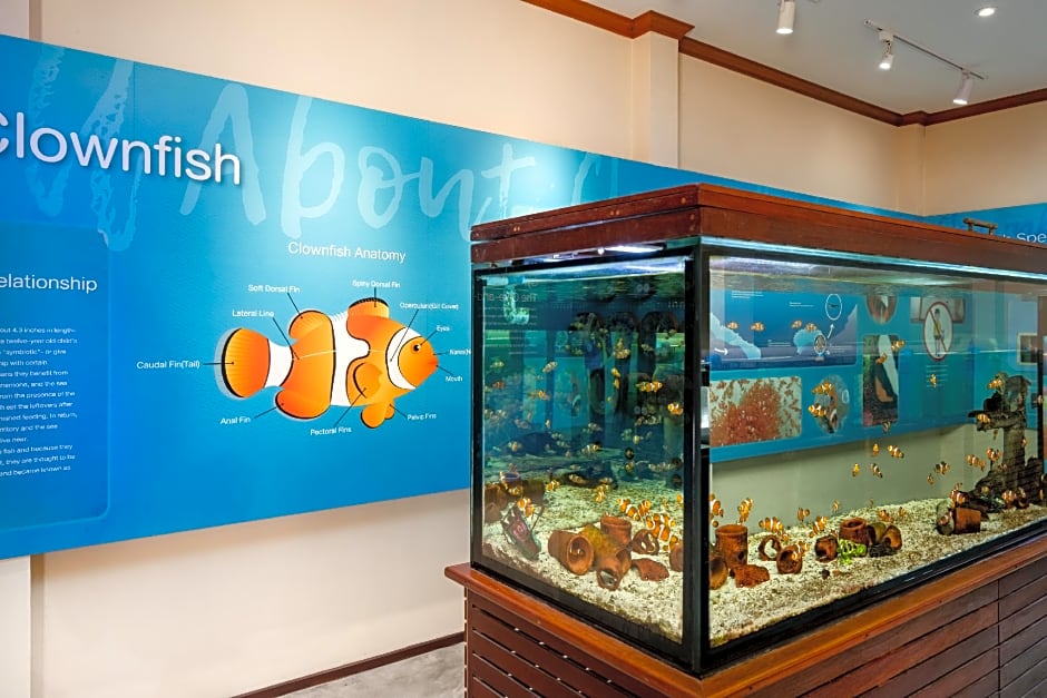 SAii Phi Phi Island Village