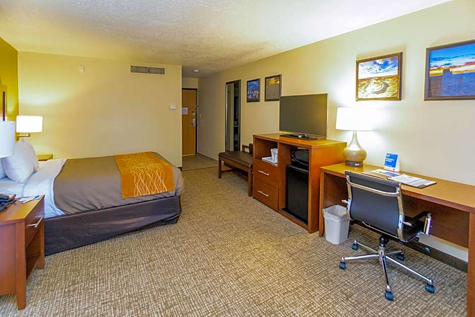 Comfort Inn Salt Lake City Downtown