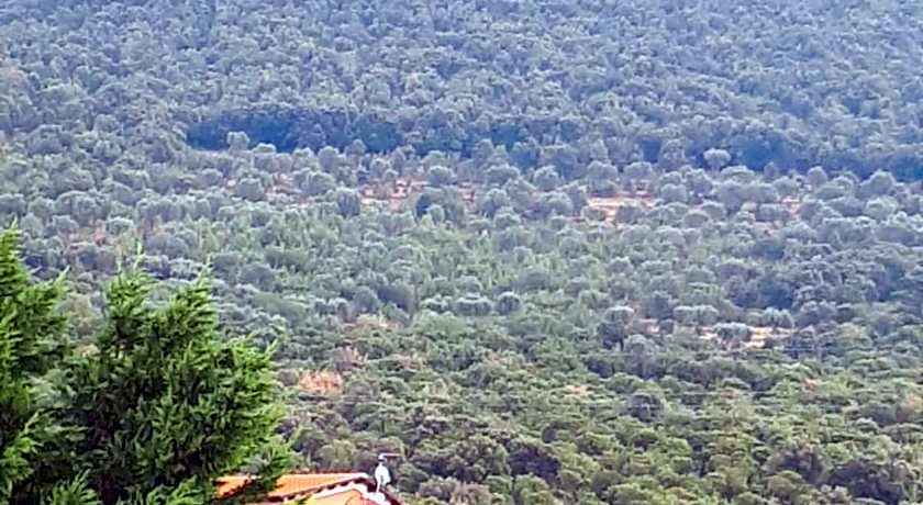 B&B Porta del Gargano