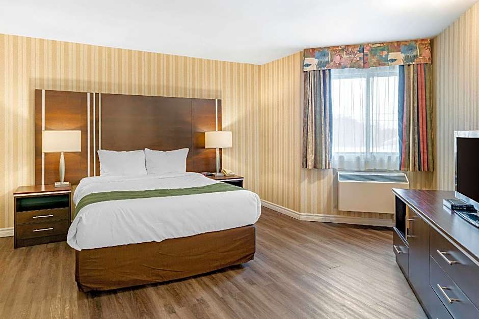 Quality Hotel & Suites