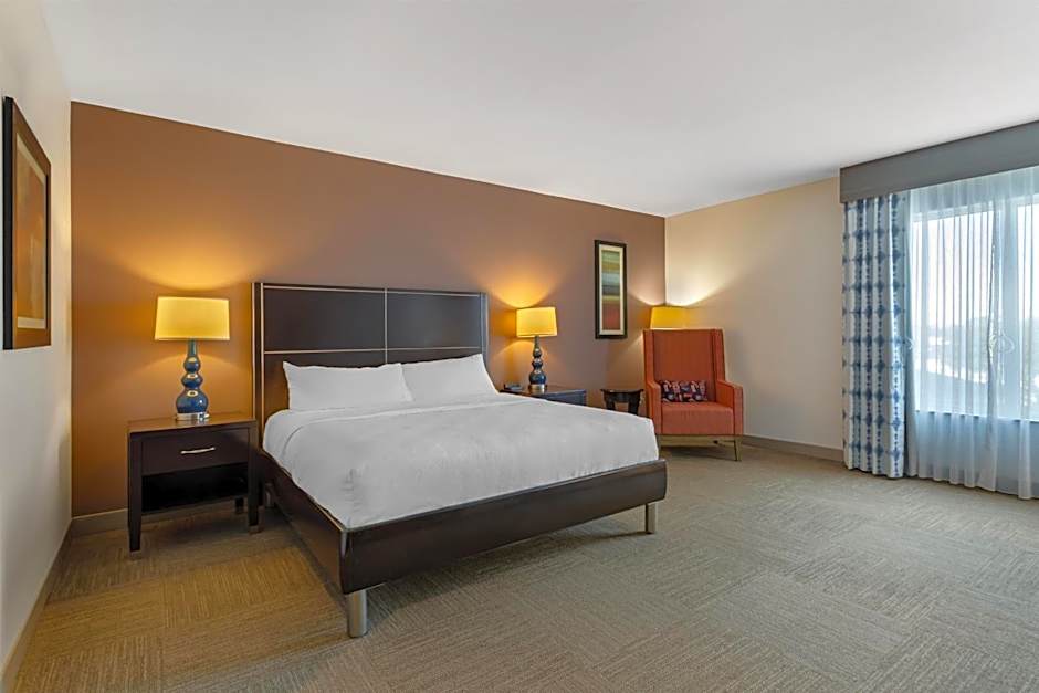 Hilton Garden Inn Houston Nw/America Plaza