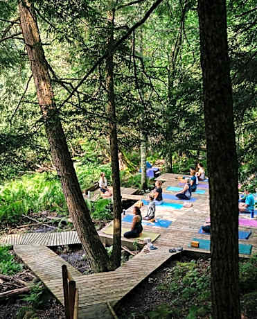 Auberge Yoga Salamandre