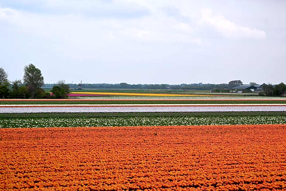 Strandhotel Golfzang