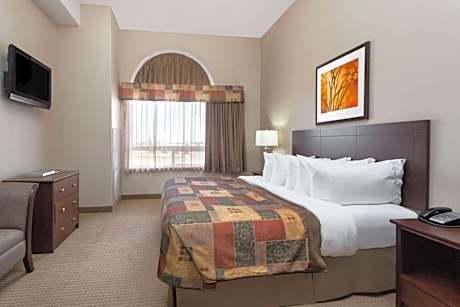 King Pet-Friendly Room with One King Bed and Roll-In Shower - Mobility Accessible - Non-Smoking