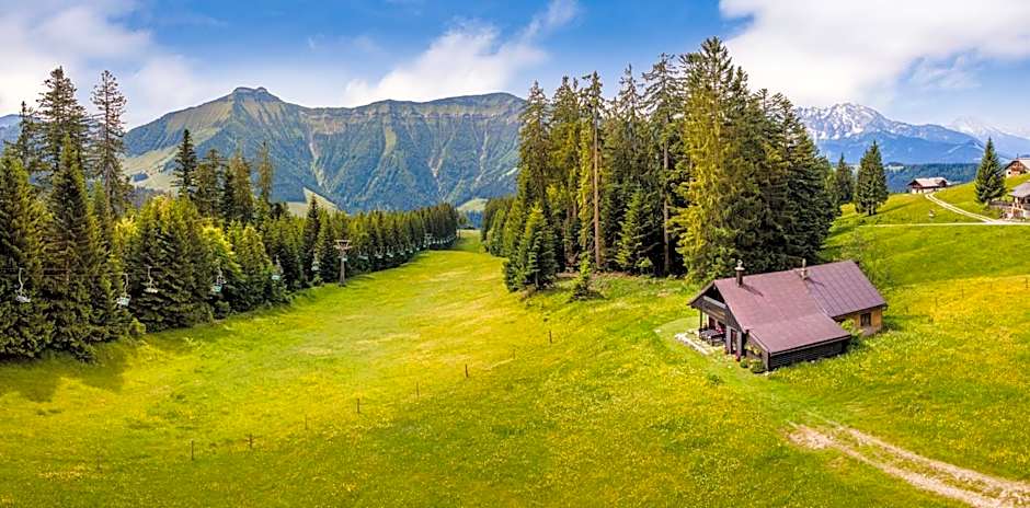 Schnaitstadl-Alm Selbstversorgerhütte