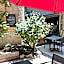 Le Clos d'Orange - Hotel & ville de Provence