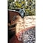 Hotel Alegria Gardens Amakusa - Vacation STAY 40452v