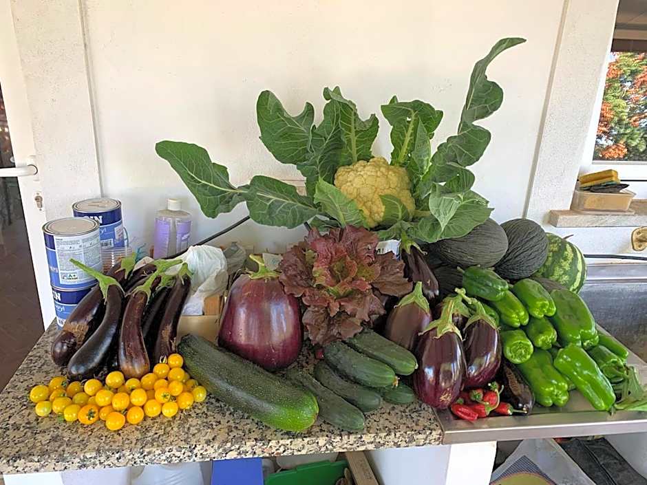 Quinta Marugo Retreats