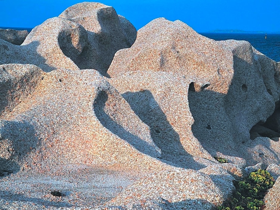 La Chicca di Francesca