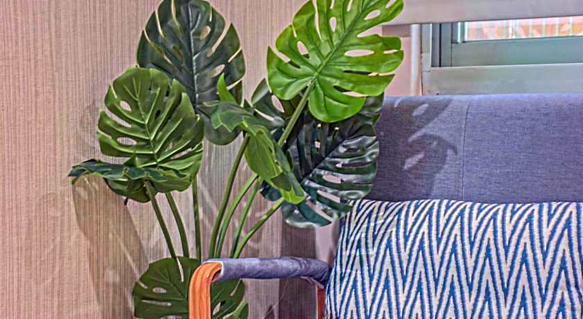 Beauty Garden Hotel Jiaohsi