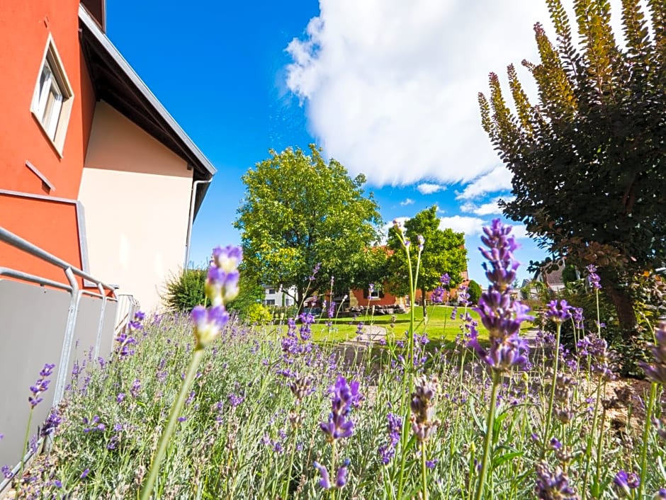 Hotel Löwen Garni - B&B