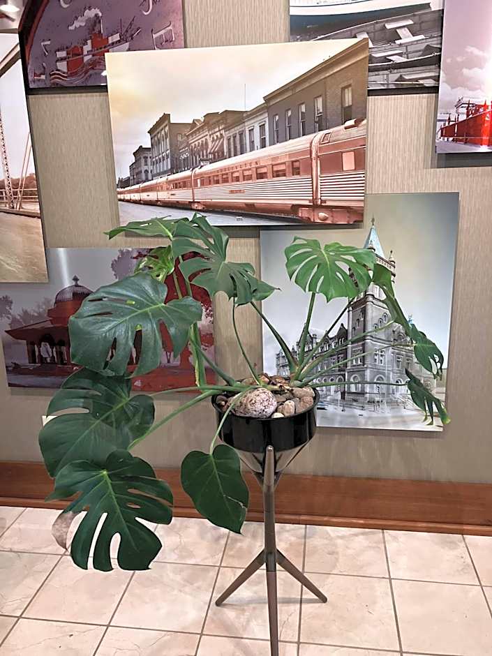 Radisson Hotel La Crosse