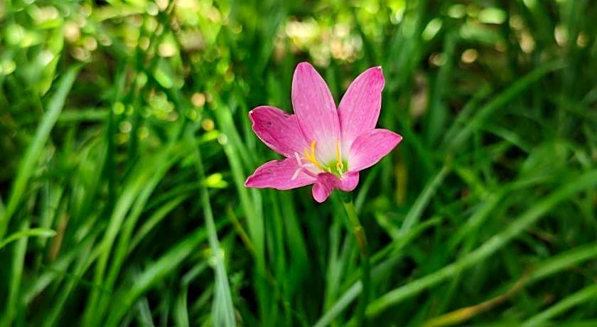 Griya Asih Yogyakarta