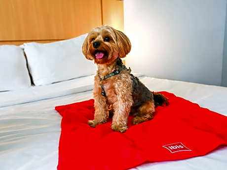 Ibis Vitoria Praia do Canto