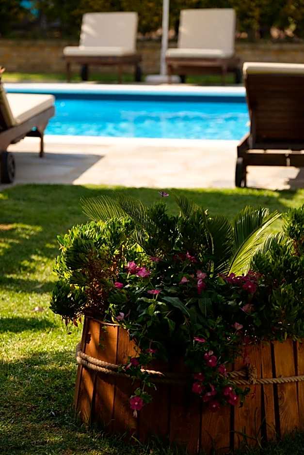 Tereza Apartments