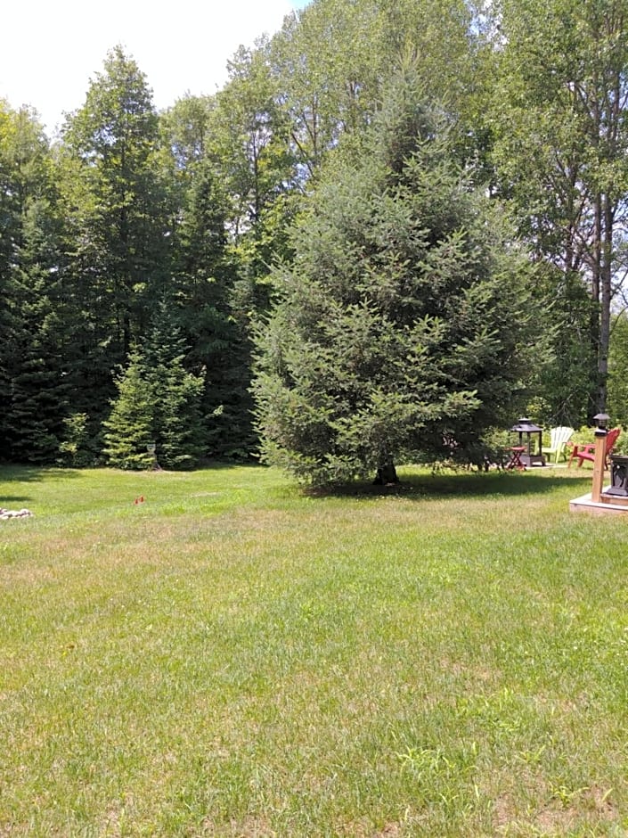 Suite in the Bush-Private Apartment