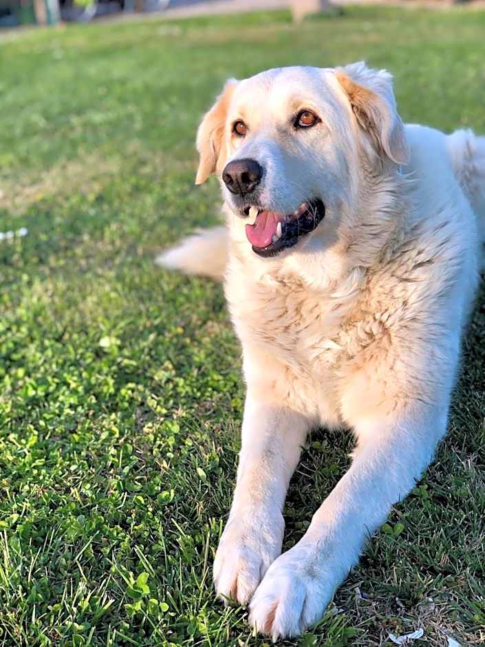 CASA VACANZE ARCOBALENO