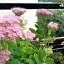 BASISA Bed&Breakfast