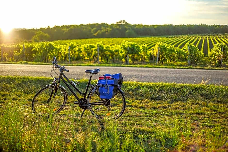 Logis Hôtel Restaurant L'Essille