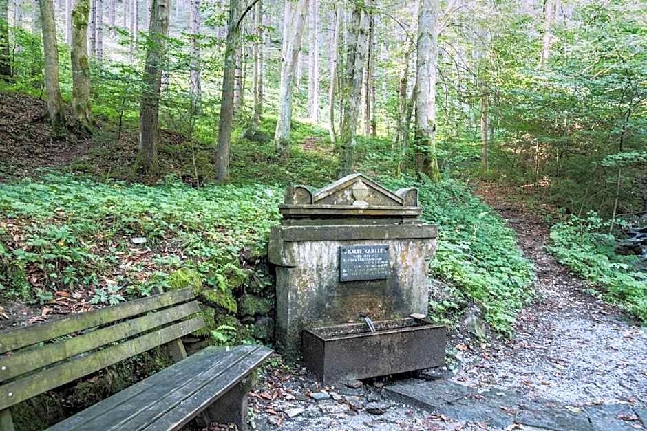 JUFA Hotel Bruck an der Mur - im Weitental