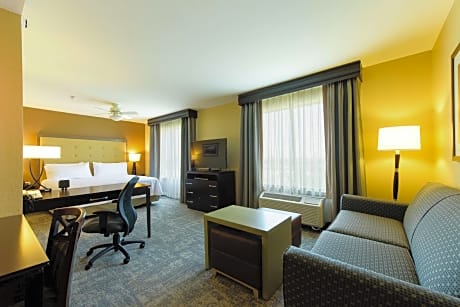 1 King Bed Studio Suite Nonsmoking