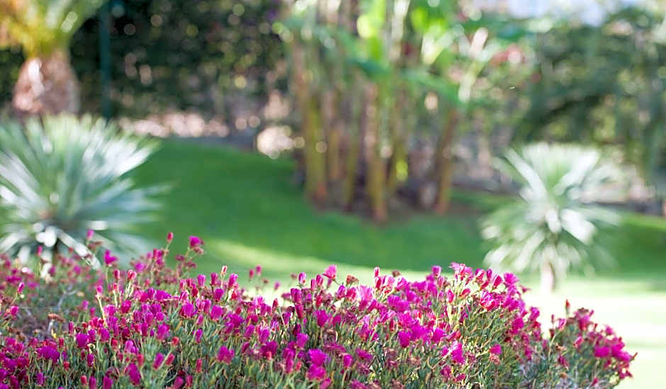 Madeira Panorâmico Hotel
