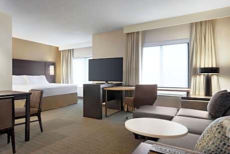 Studio, 1 King, Alternate bed: sofa bed, City view