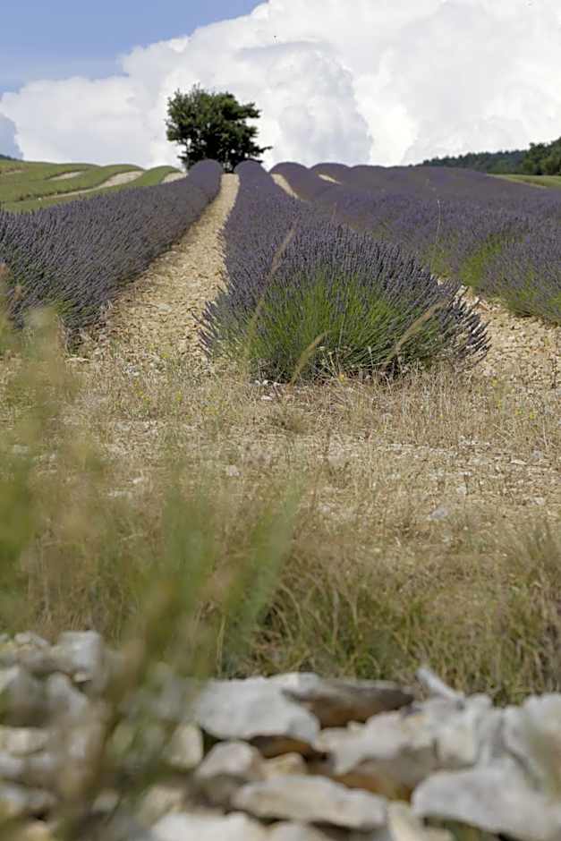 Château de la Gabelle Férrassières