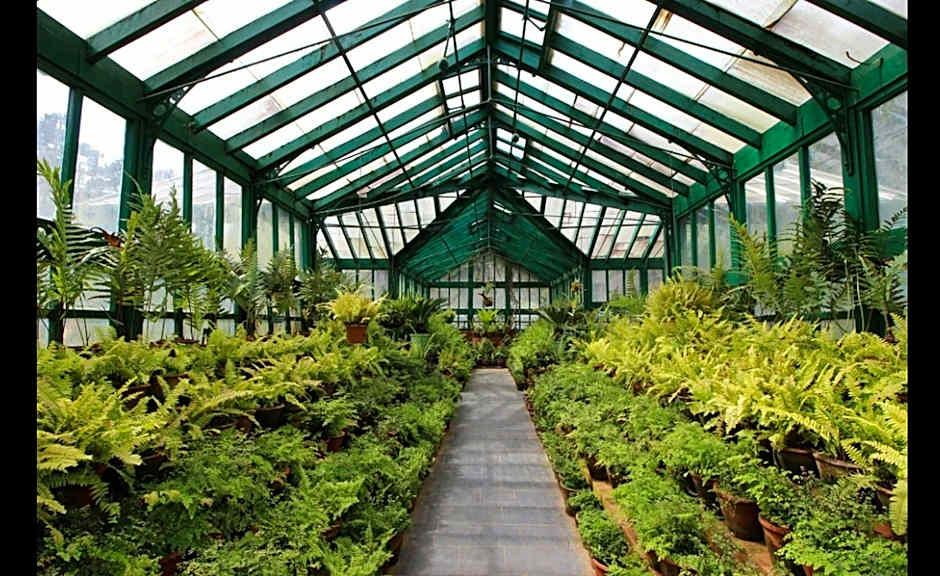 Savoy, Ooty - IHCL SeleQtions (A Taj InnerCircle Hotel)