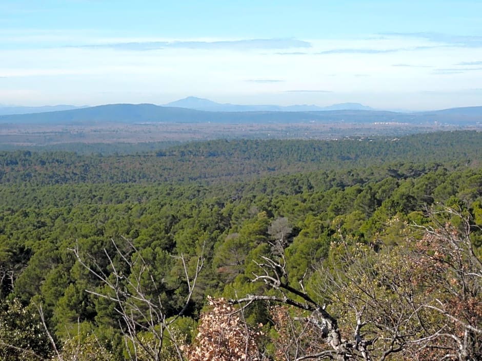 Le Petit Paradis – Lorgues, ID