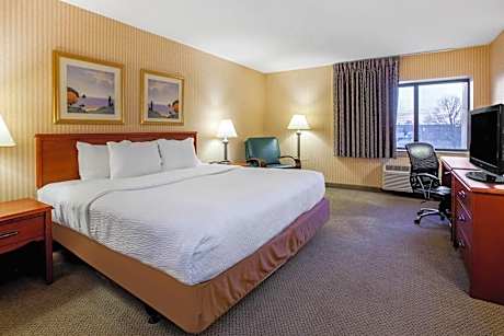 One-Bedroom Apartment with One King Bed - Non-Smoking