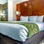 Comfort Suites Dover