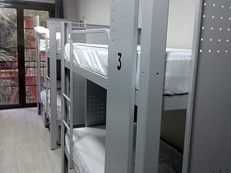 Bed in 8-Bed Mixed Dormitory Room