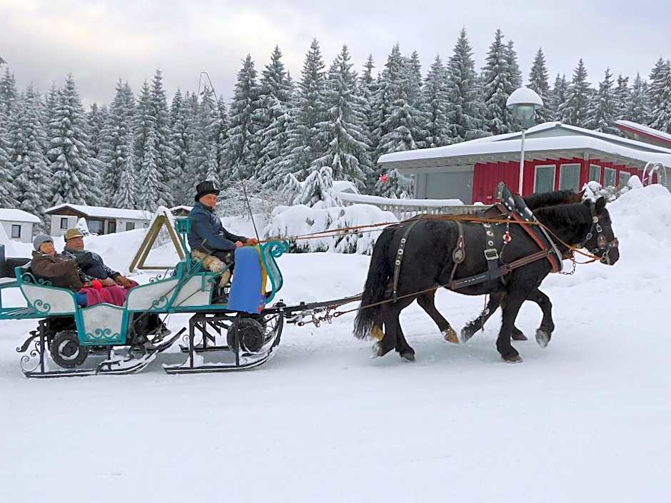 Waldhotel Rennsteighöhe