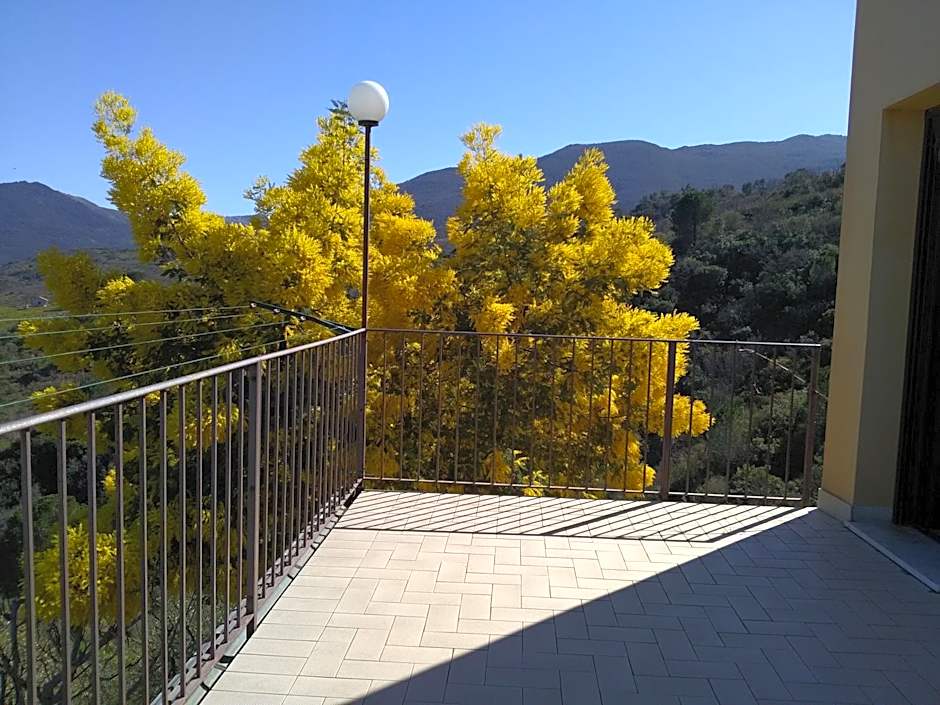 Villaggio dei Balocchi