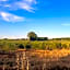 Domaine de Panery