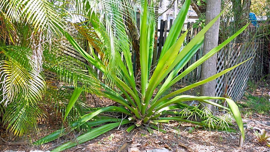 Emeraldene Inn & Eco-Lodge