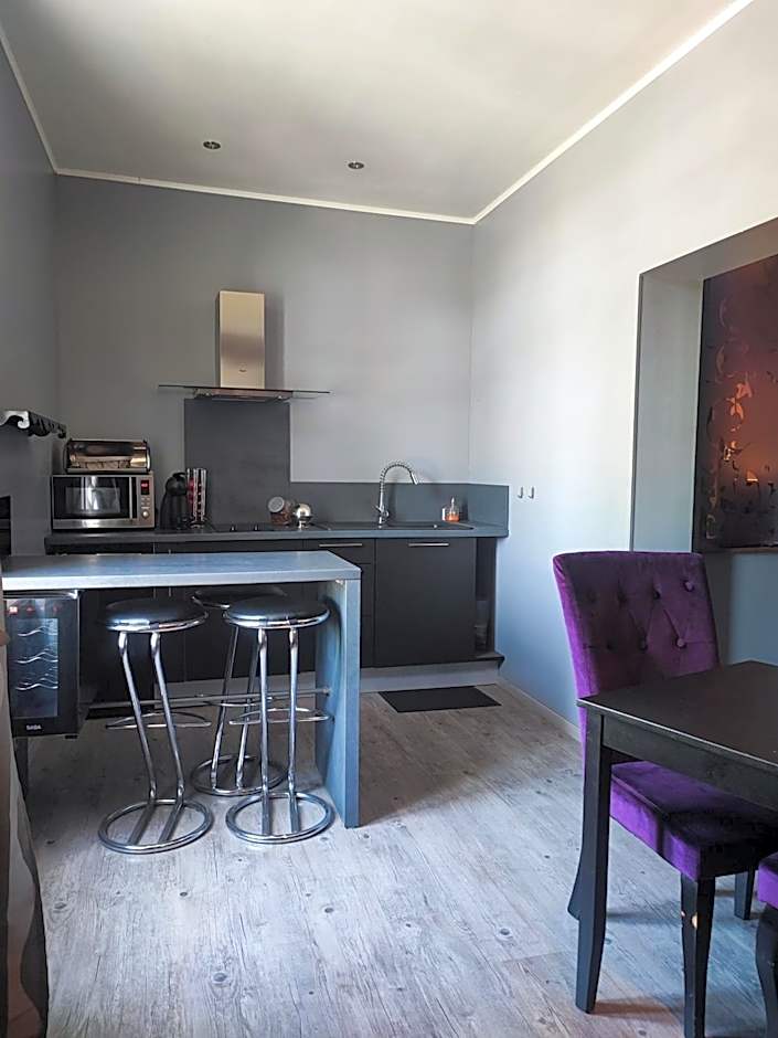 Appartement tout confort avec balnéo et lit king size