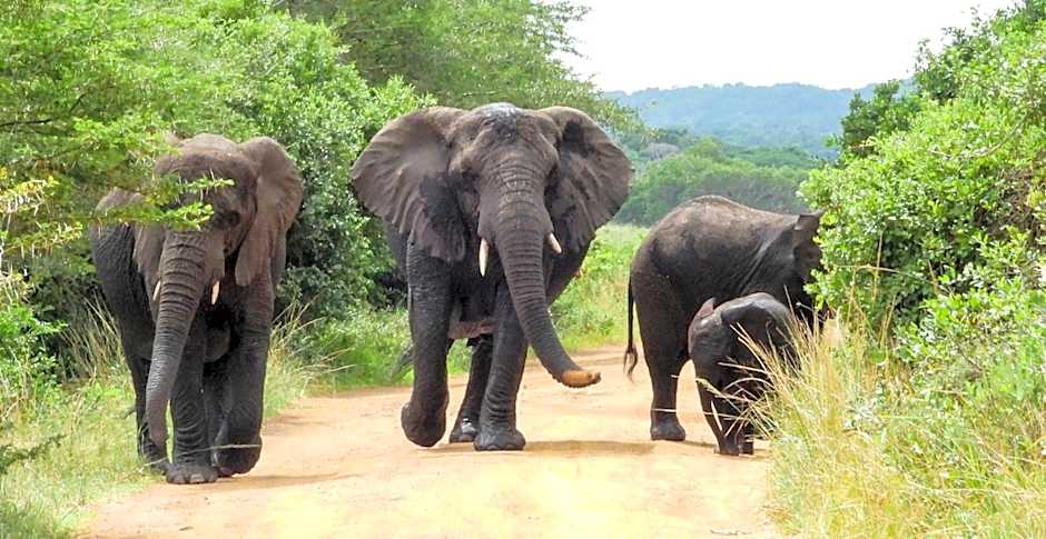 SleepOver Kruger Gate