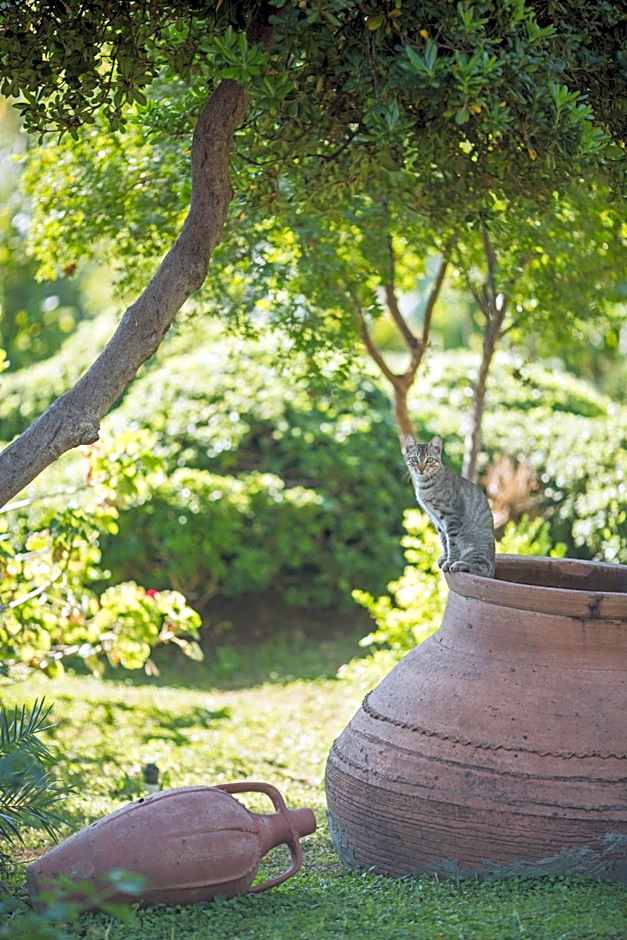 Halıcı Hotel Marmaris