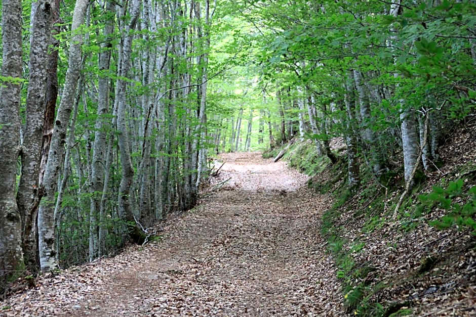 Les Chambres d'Hôtes Le Triskèle