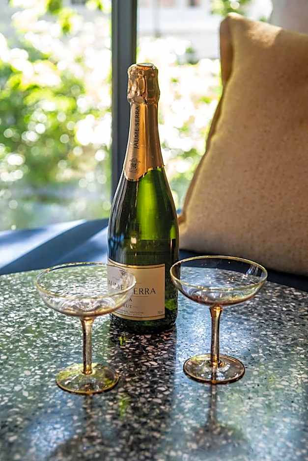 Luxurious Residence in Vondelpark/Museum District