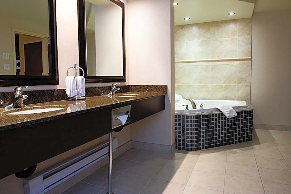 Holiday Inn Hotel & Suites-West Edmonton By IHG