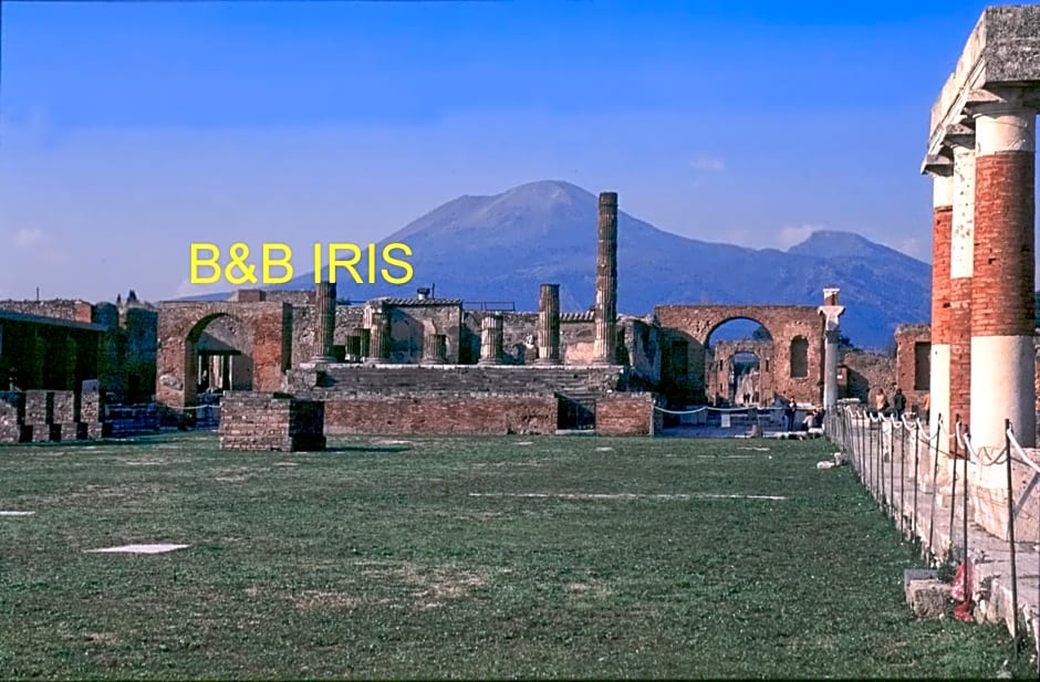 B&B Iris